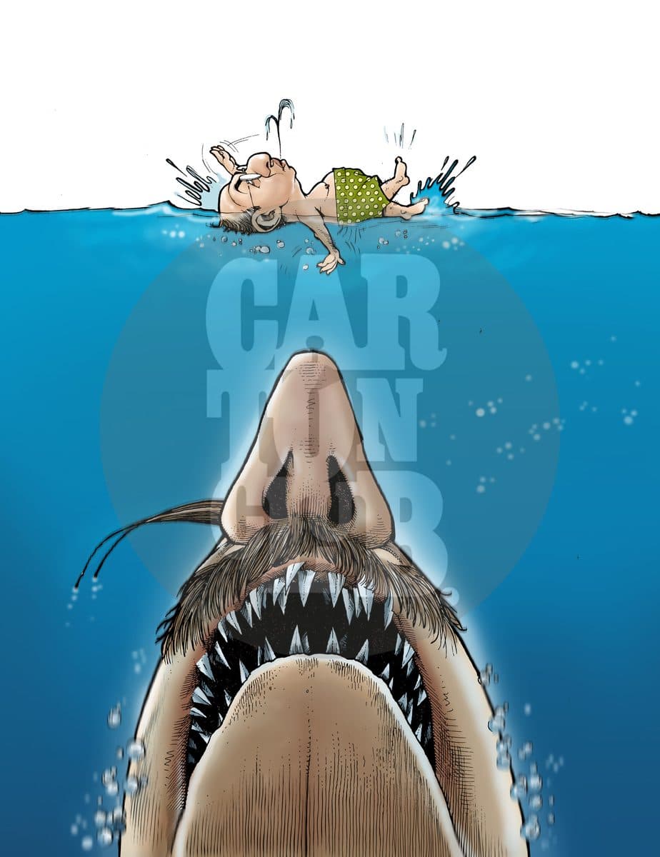 Tiburon, cartón de Hernández