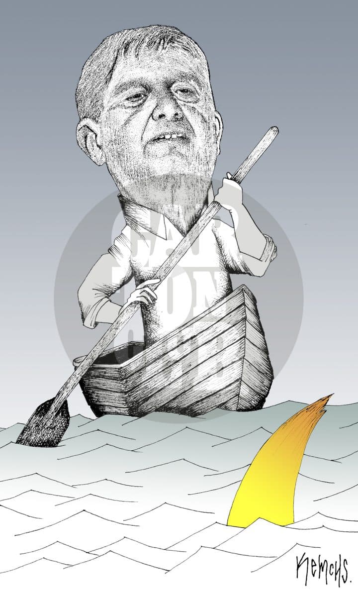 Tiburón