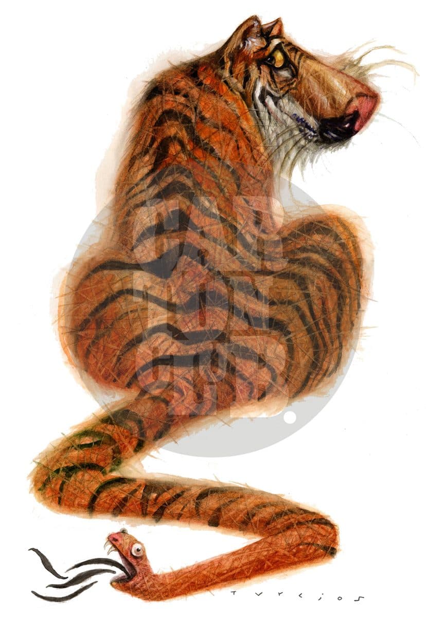 Tigre, cartón de Turcios