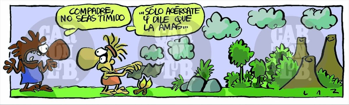 timidez