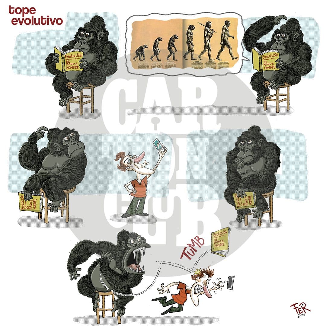 Tope Evolutivo