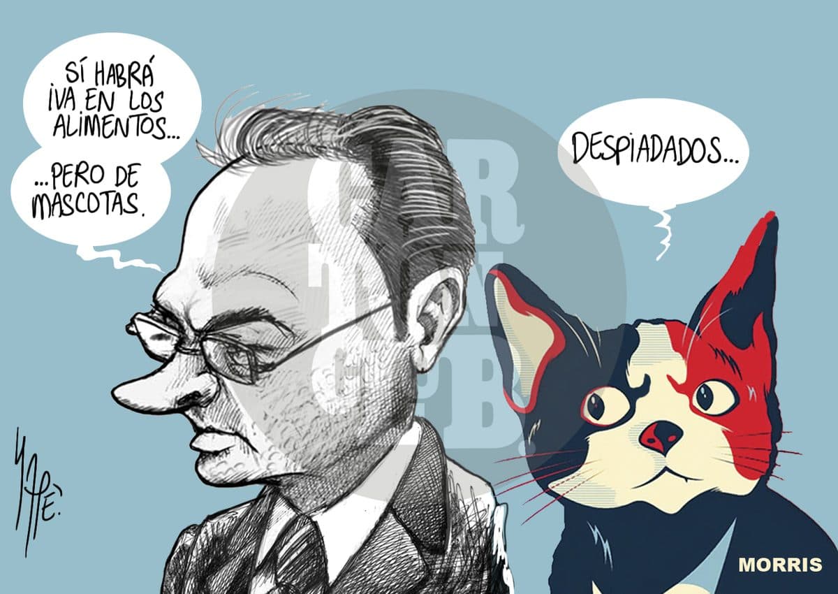 Venganza, cartón de Rapé