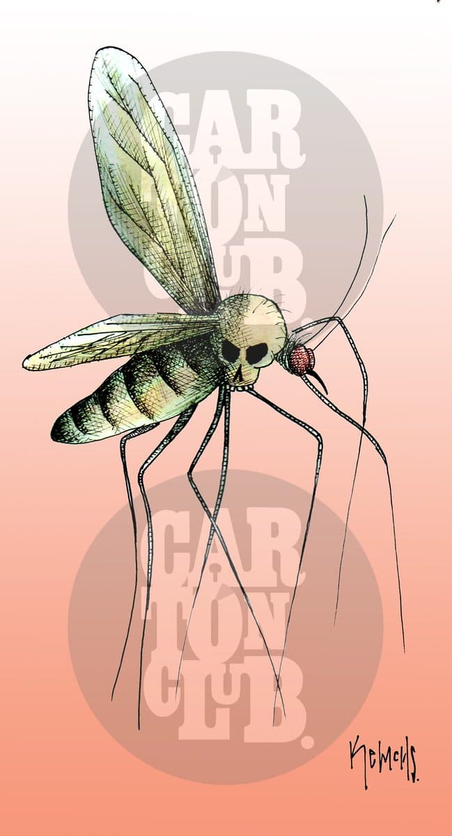 Virus del Zika, cartón de Kemchs