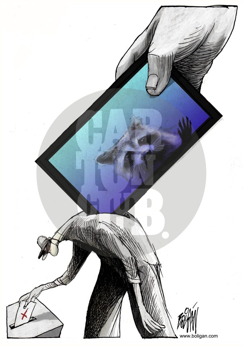 Votos por Teles, cartón de Ángel Boligán