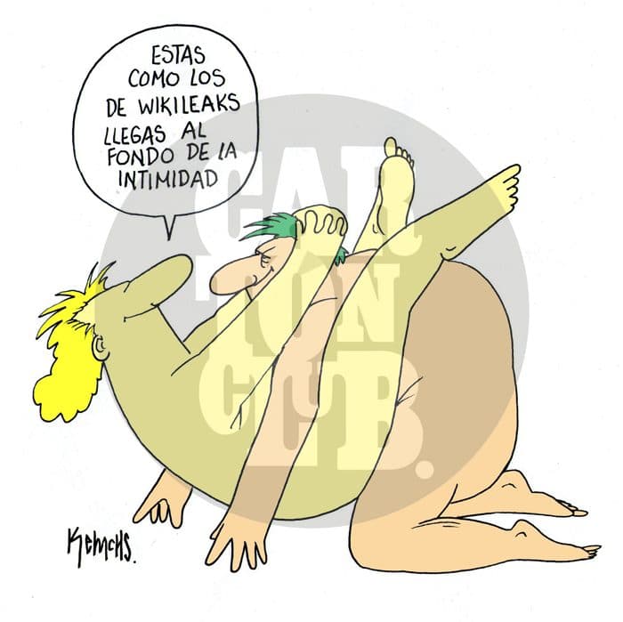 Wikileaks.