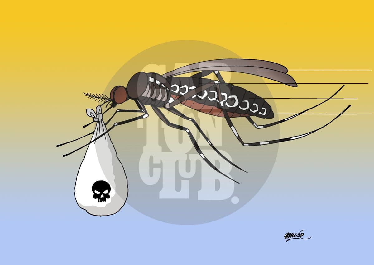 Zika