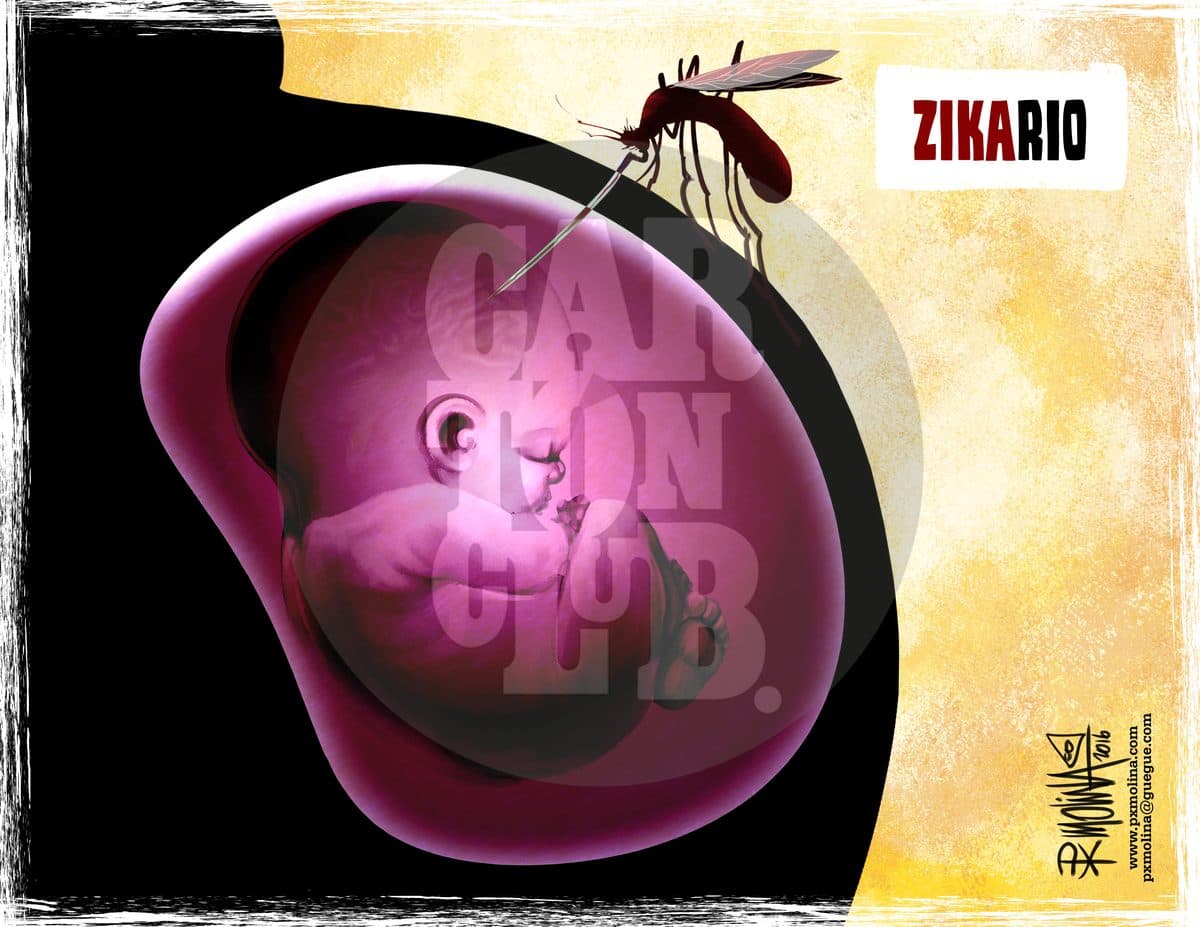 Zikario..., cartón de PxMolina