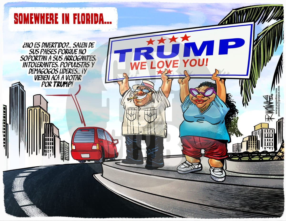 1479585405florida2.jpg, cartón de PxMolina
