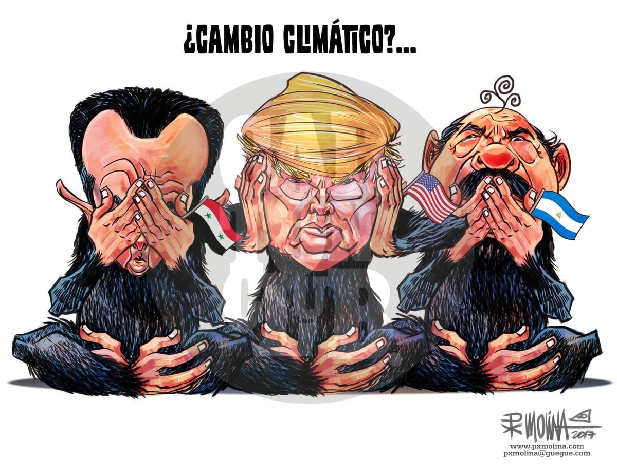3 Simios
