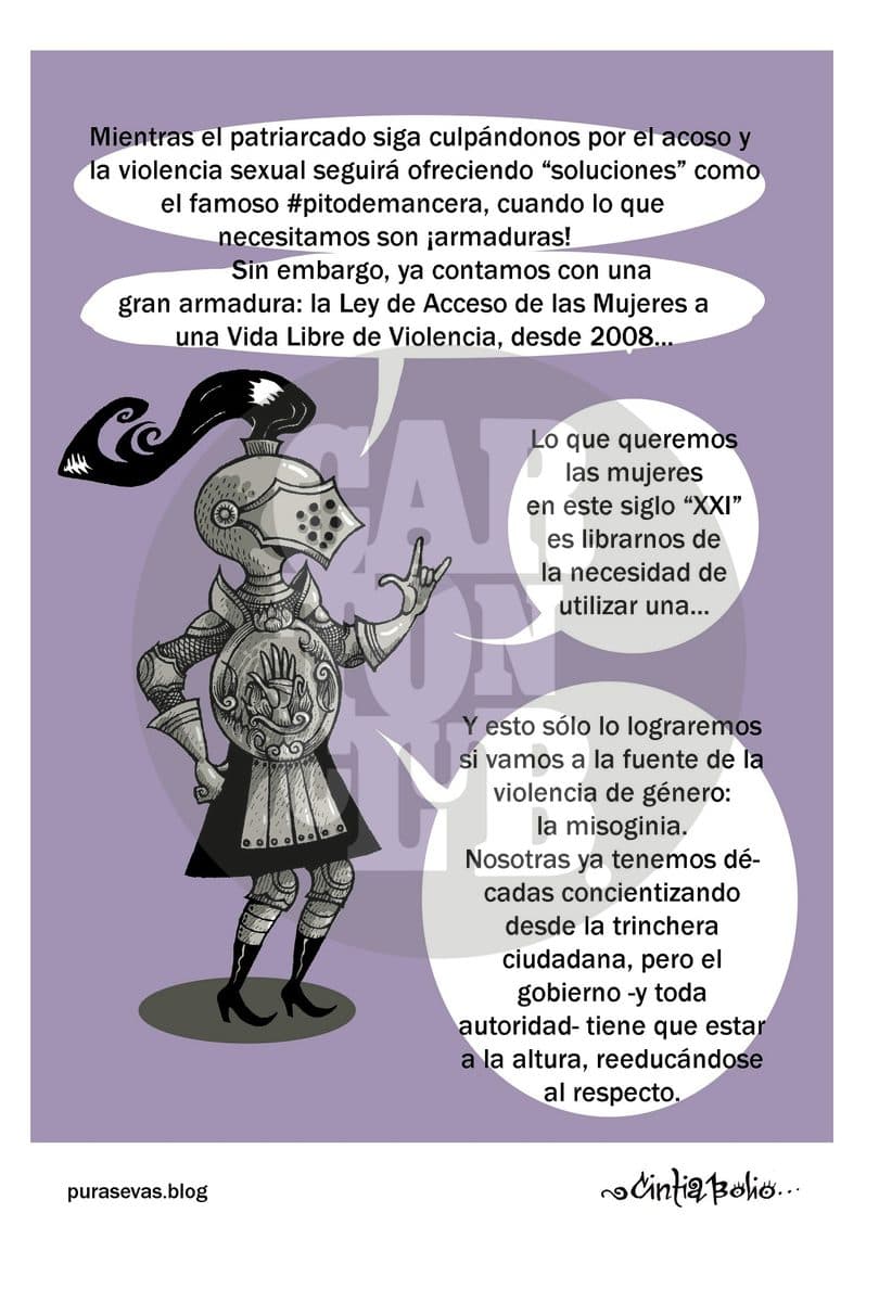 Armaduras, cartón de Cintia Bolio
