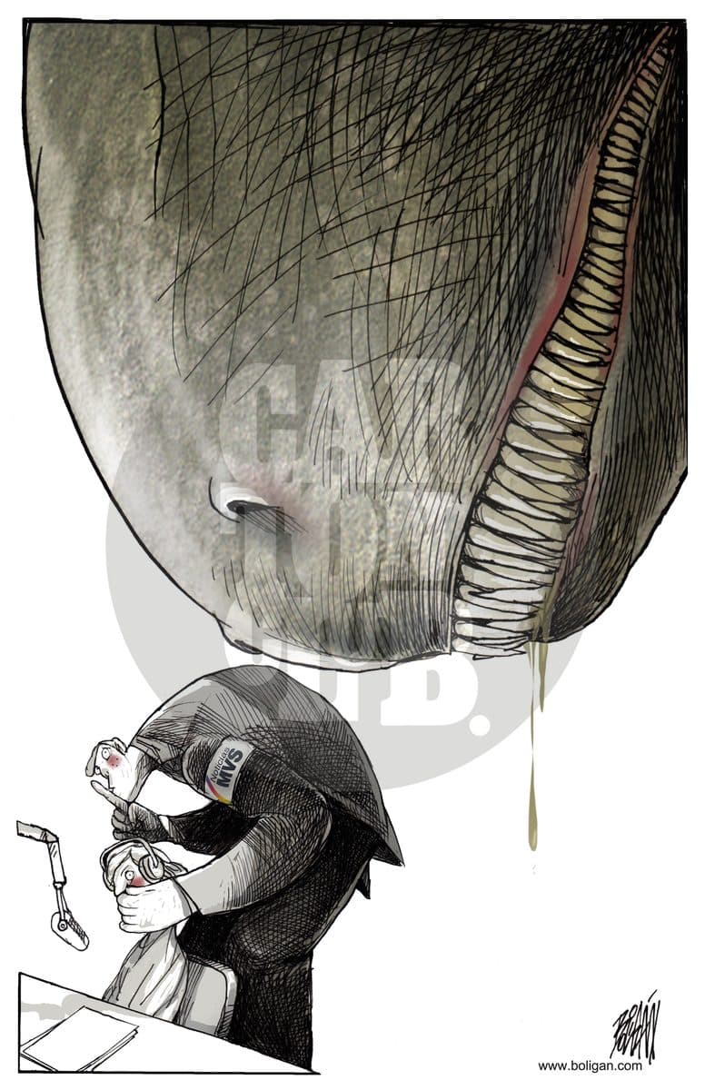 Conflicto entre particulares, cartón de Ángel Boligán