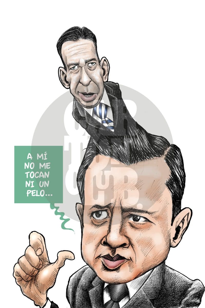 Copetudo