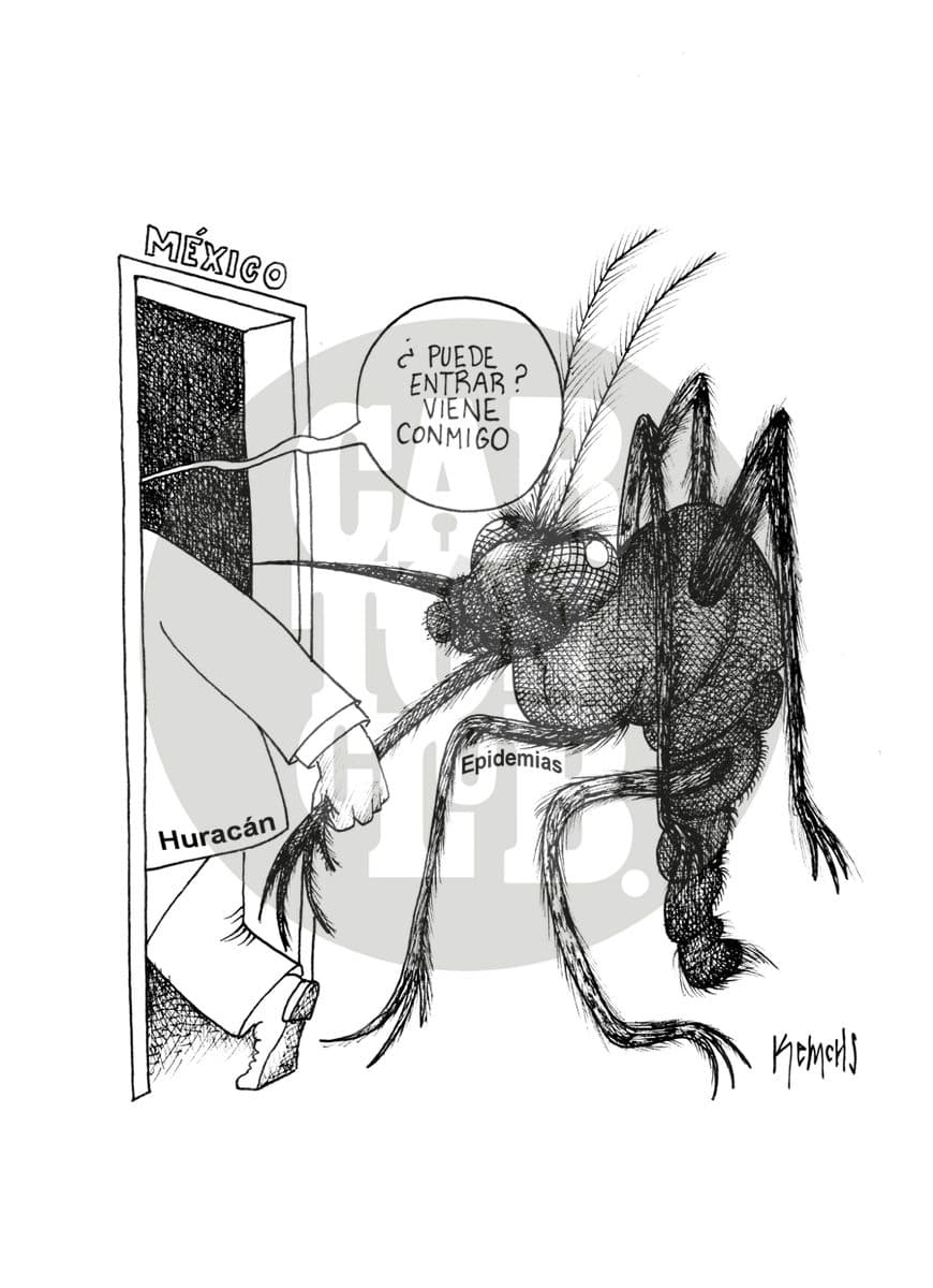 De la mano, cartón de Kemchs