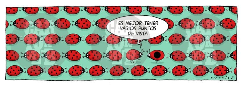 El arca de turcios 25