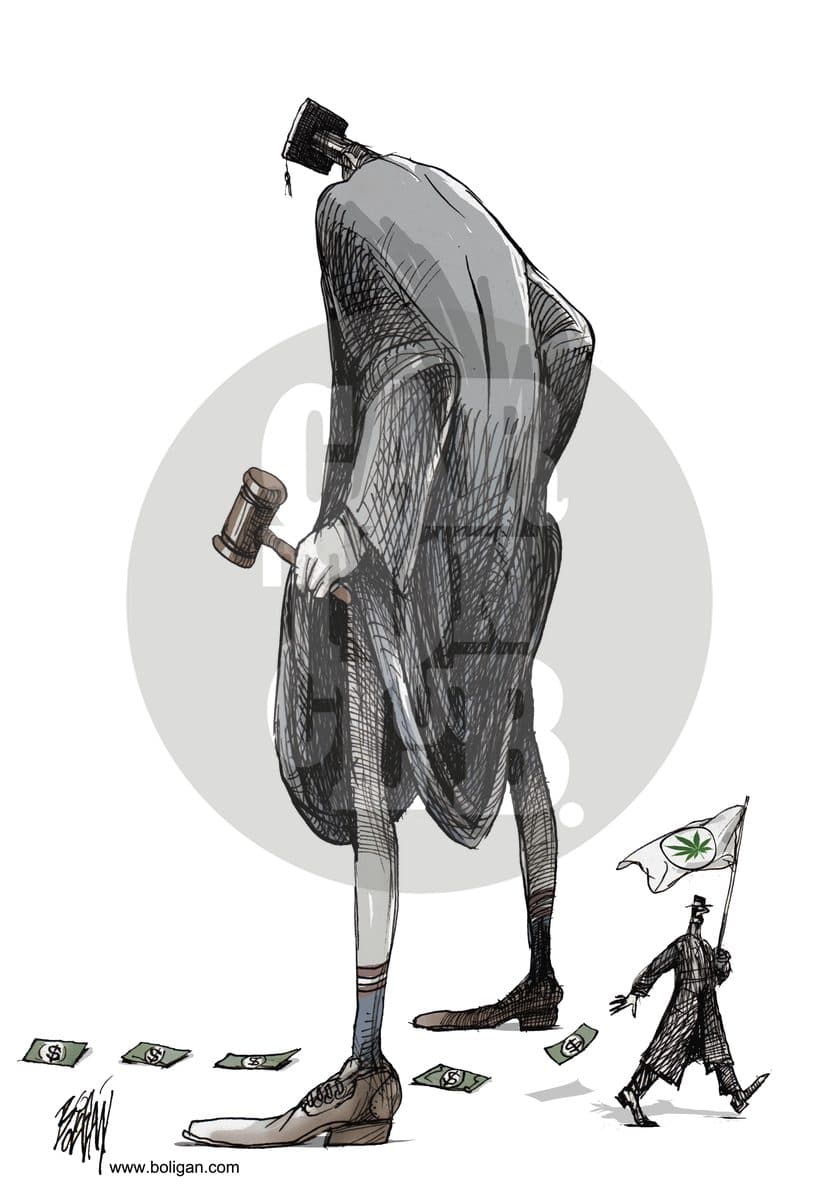 El camino del narco, cartón de Ángel Boligán