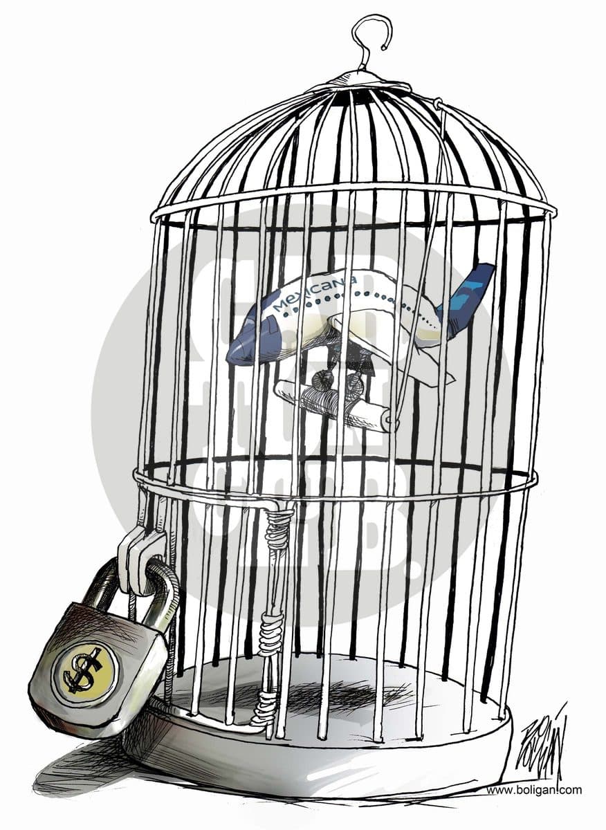 El rescate al pájaro