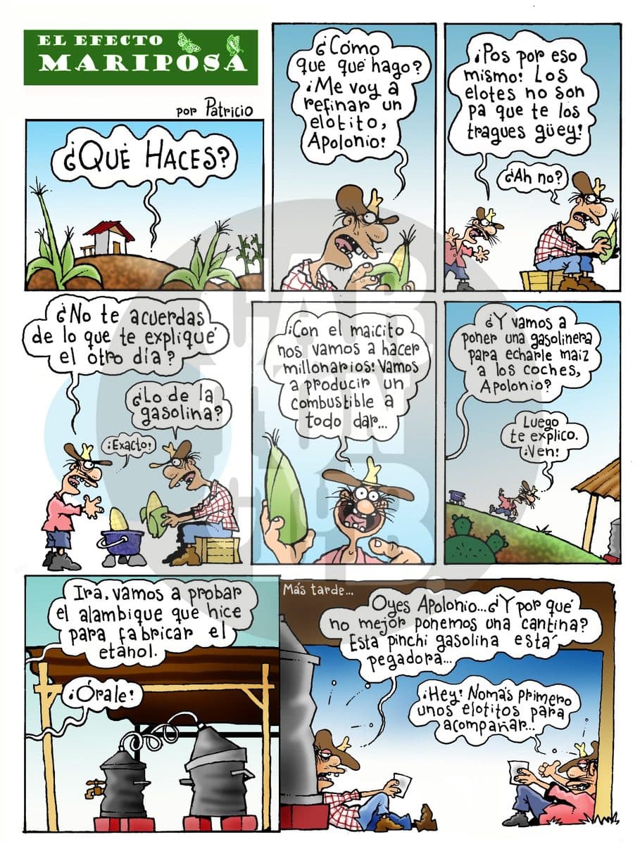 Elotitos tiernos