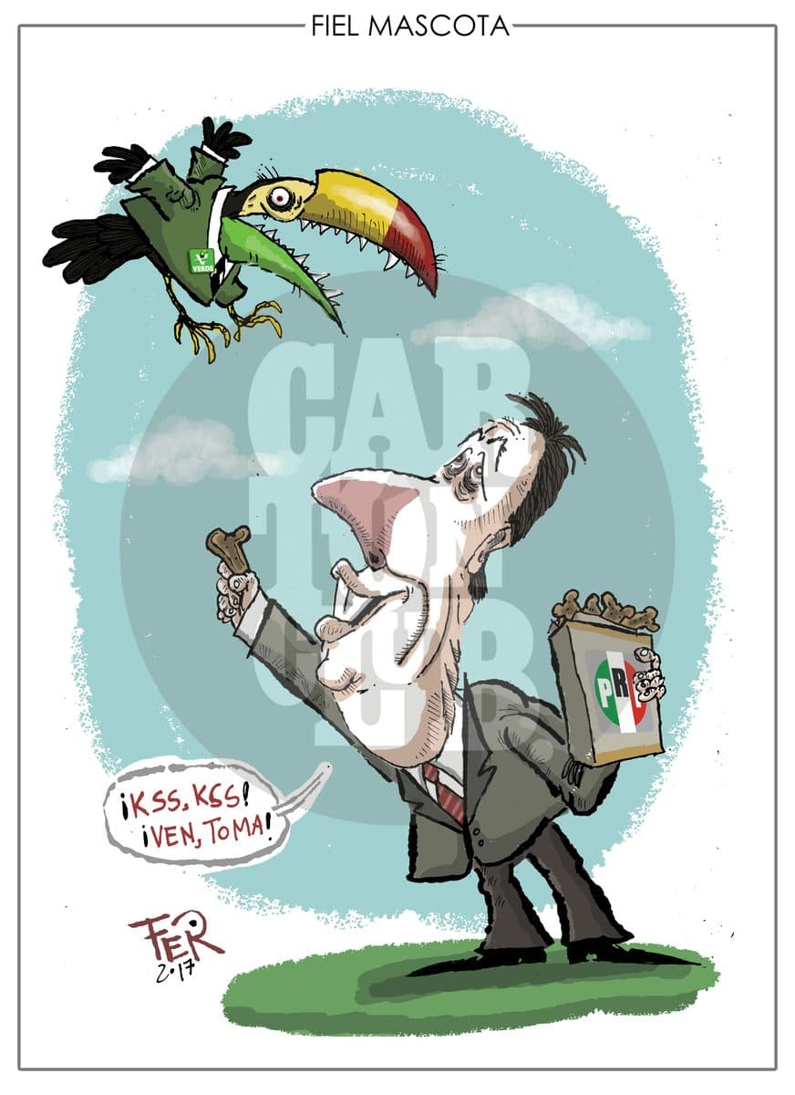 Fiel Mascota