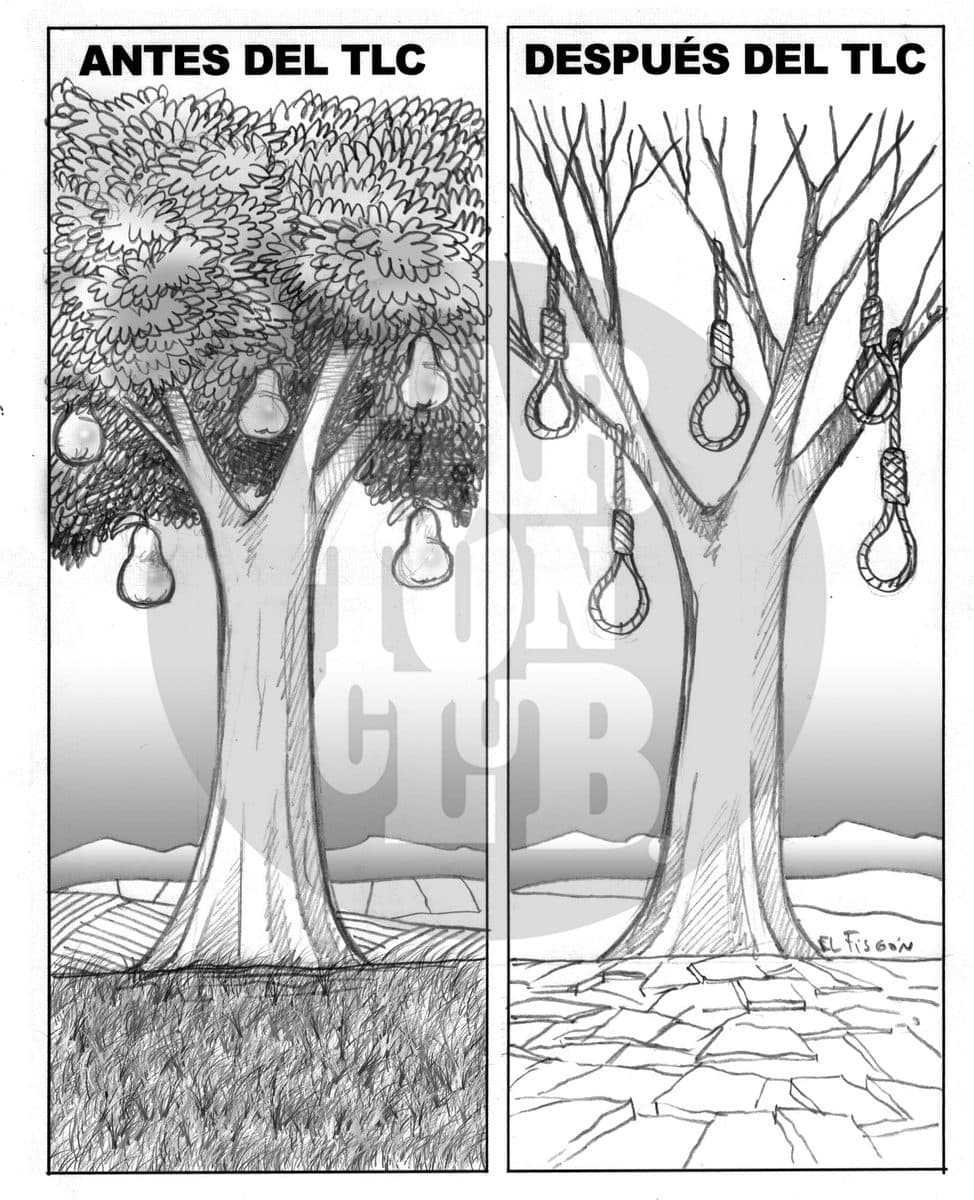 Frutos del agro mexicano, cartón de El Fisgón