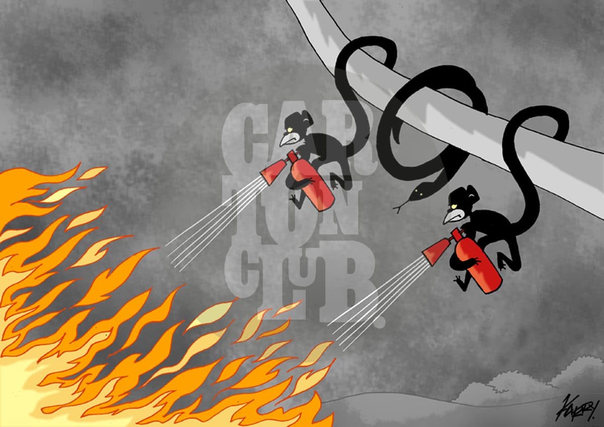 Incendio Forestal