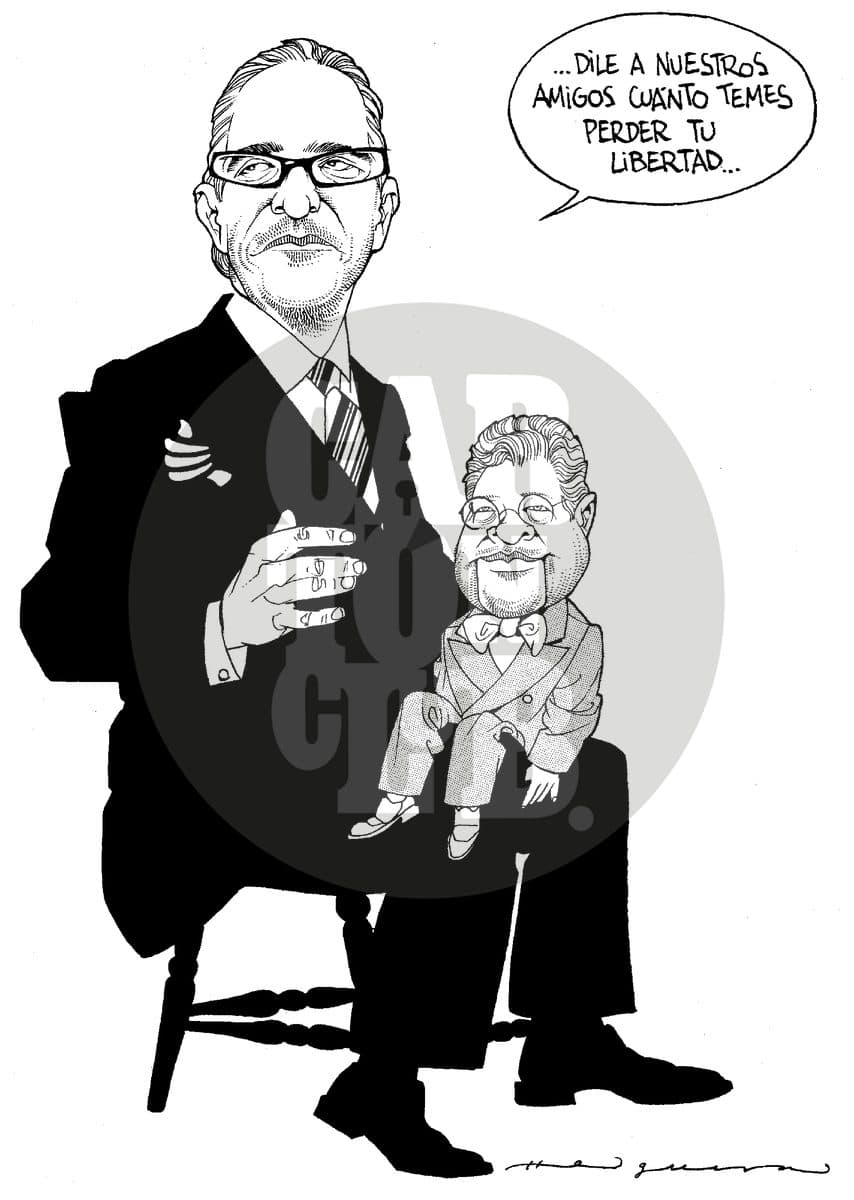 La tv y el COFIPE