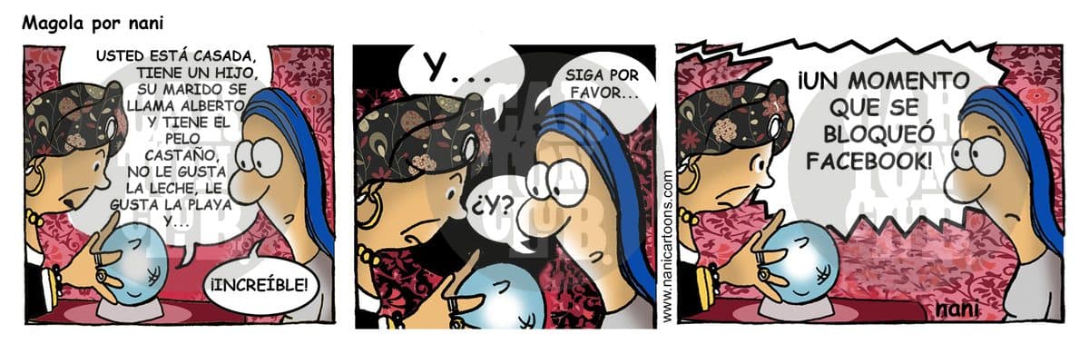 magola 1504
