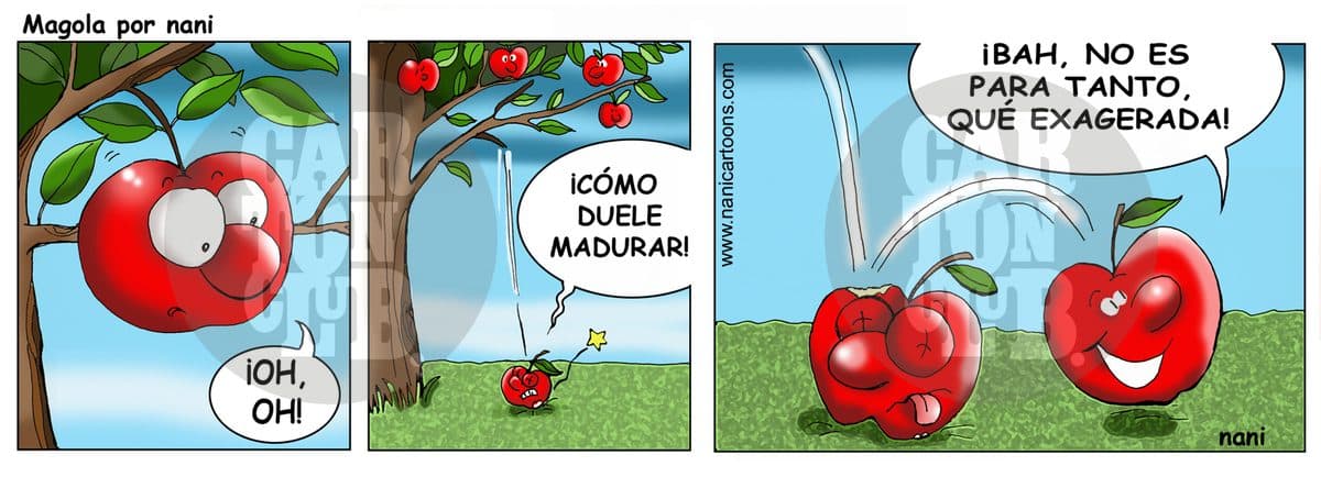 magola 1508