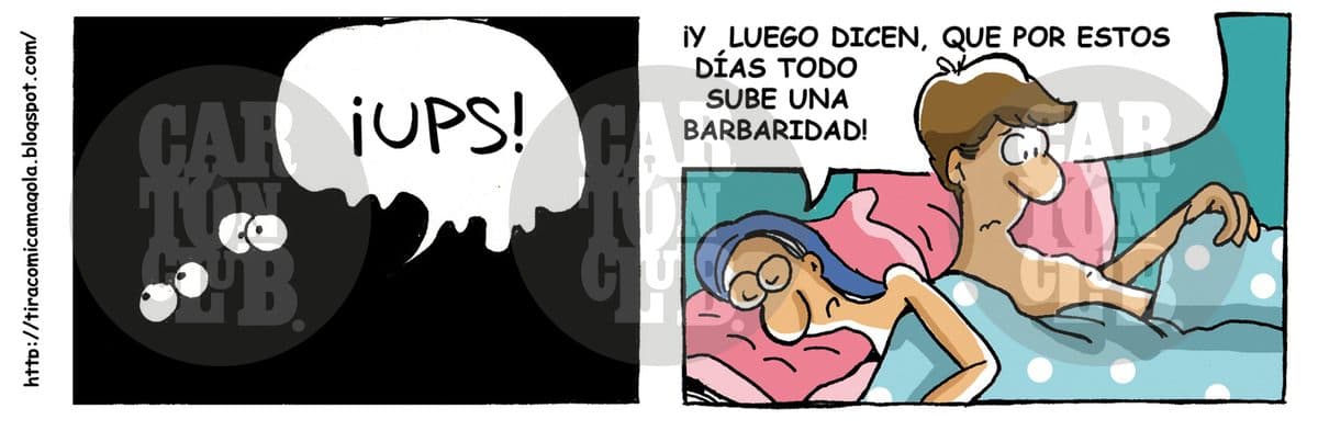 magola todo sube