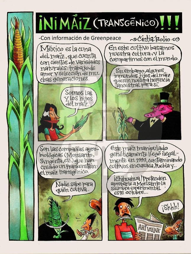 Ni máiz (transgénico) 1, cartón de Cintia Bolio