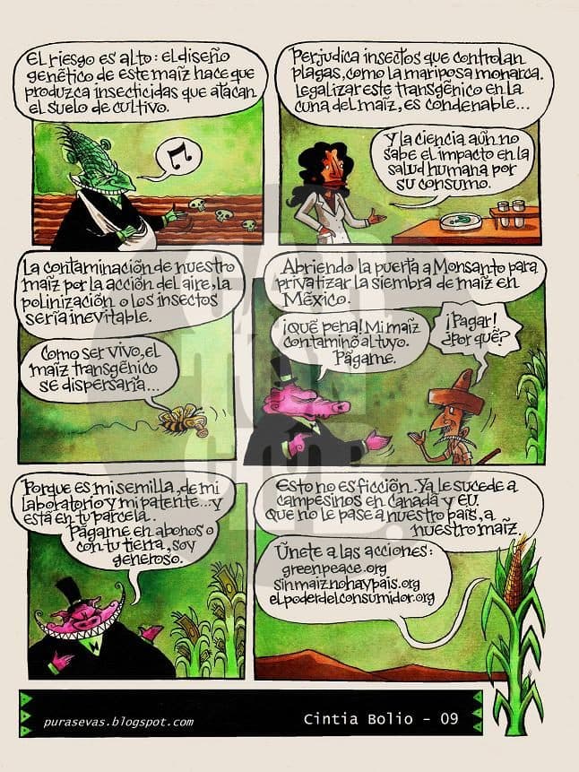 Ni máiz (transgénico) 2, cartón de Cintia Bolio
