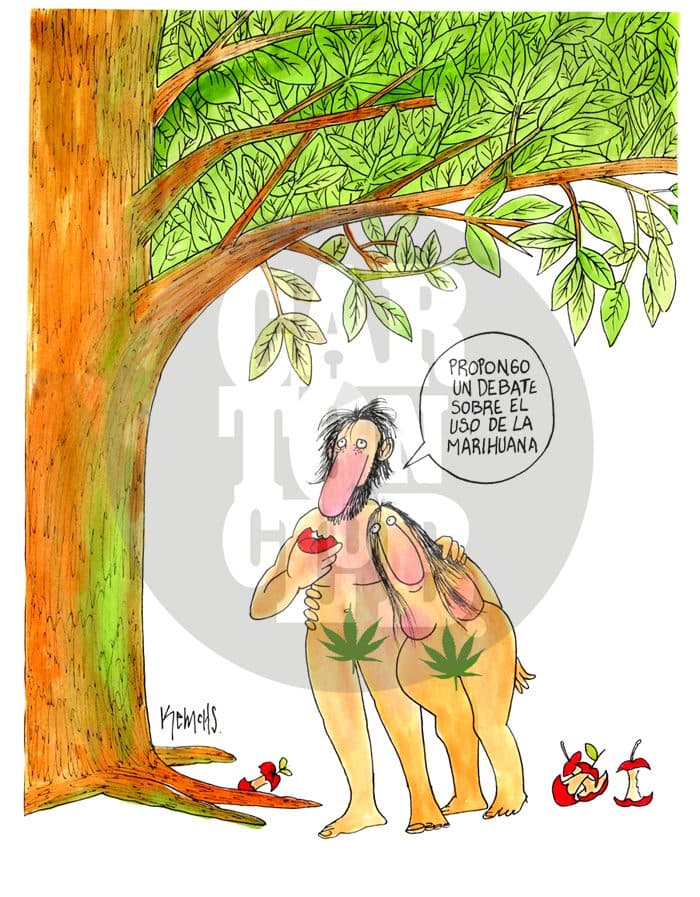 Otras utilidades de la marihuana, cartón de Kemchs