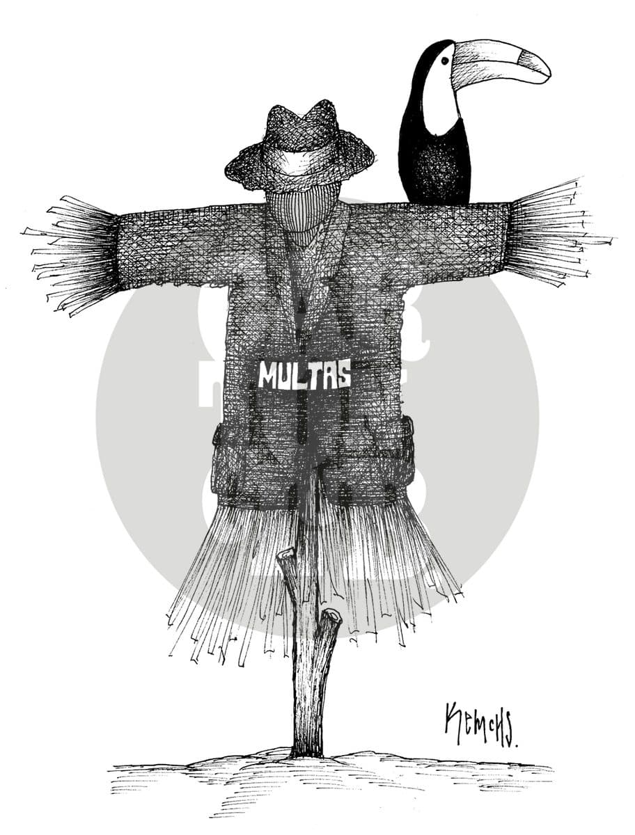 Partido verde, cartón de Kemchs