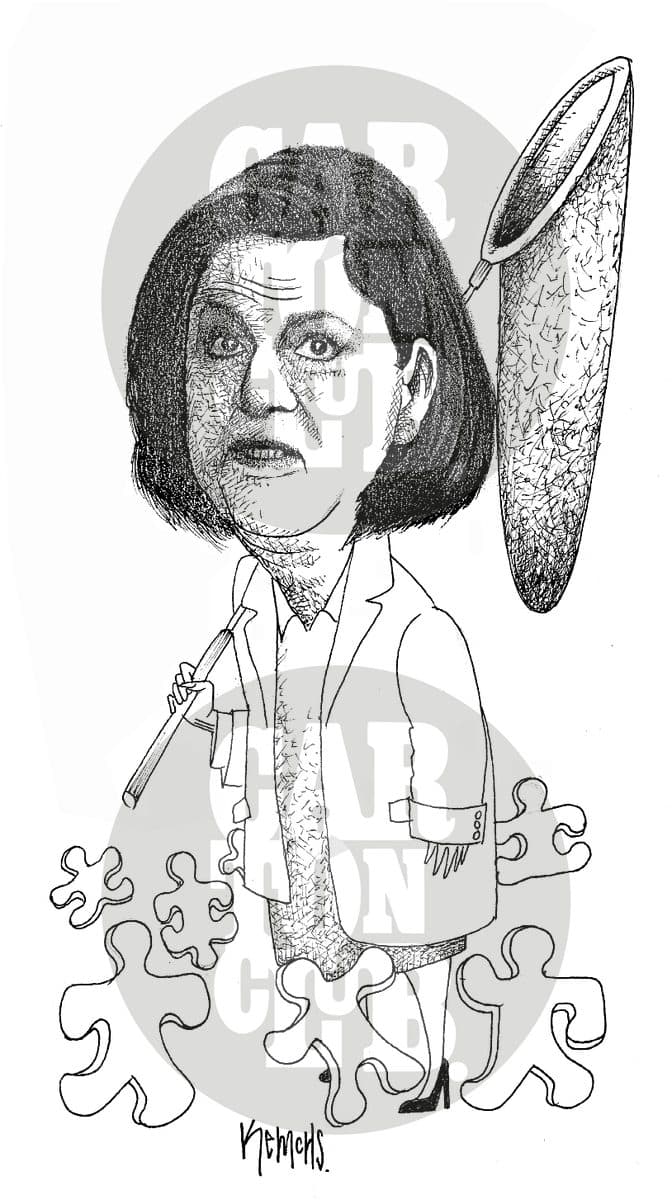 Piezas de rompecabezas, cartón de Kemchs