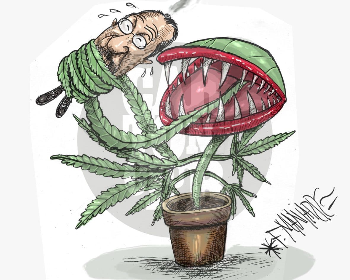 Plantas Carnivoras