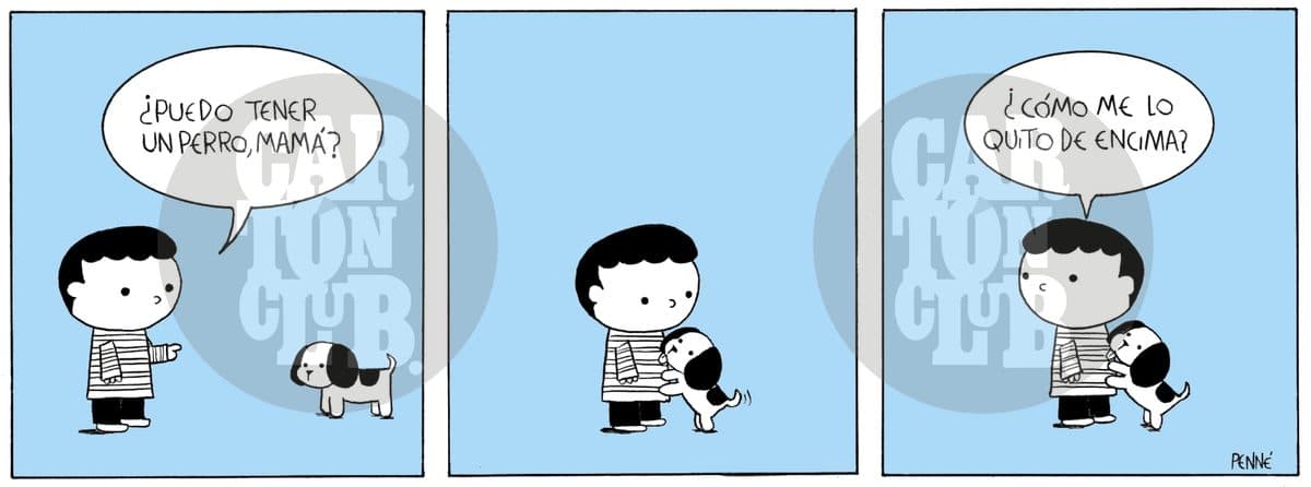 Ramón- Mascota
