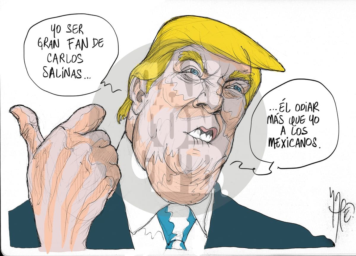 seguidor, cartón de Rapé