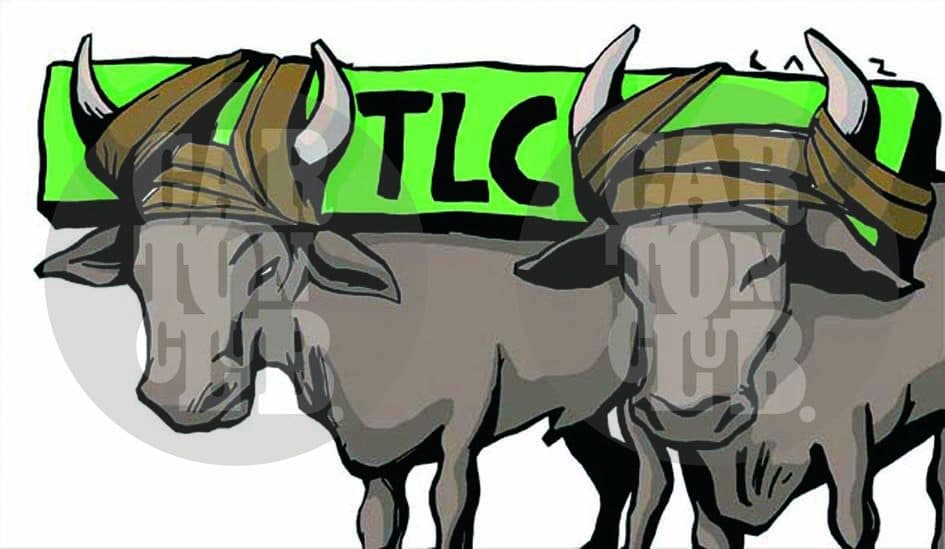 tratado de libre comercio, cartón de Laz